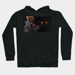 Enchantment and smoke Hoodie